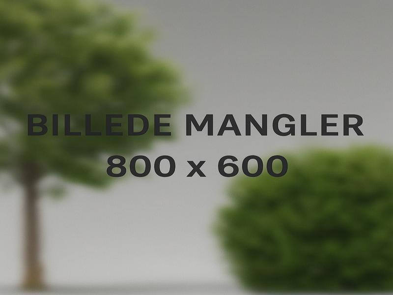 justeret_billede Vandløb i have med kampesten, grøn beplantning og lilla blomster – eksempel på anlæg af vandmiljø på Sjælland